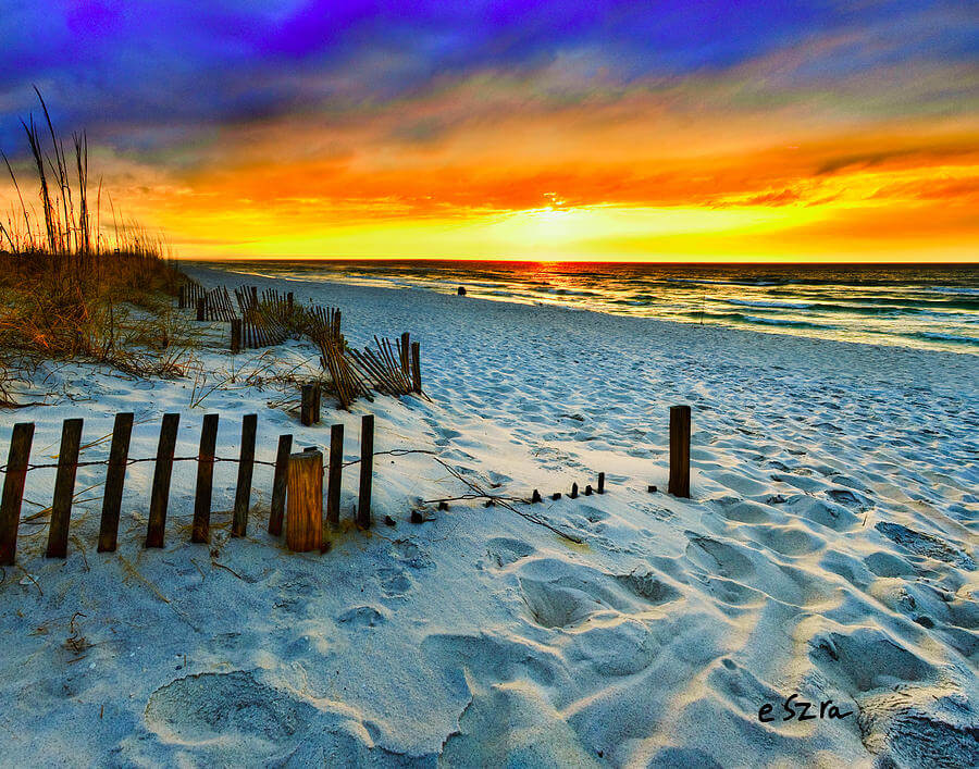 Ocean Sunset Landscape Backdrop Printing