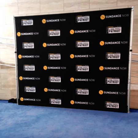 A memorable step and repeat for Sundance Now
