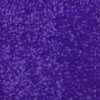 Step and Repeat LA-Purple Carpet