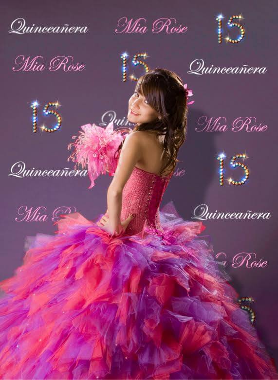 Quinceaneras or sweet sixteen step and repeat backdrop for girls birthday parties.