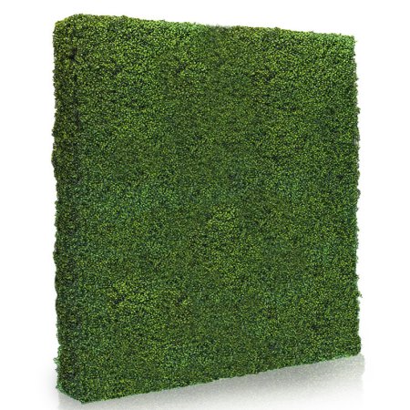 Double 4 by 8 foot Hedge Wall