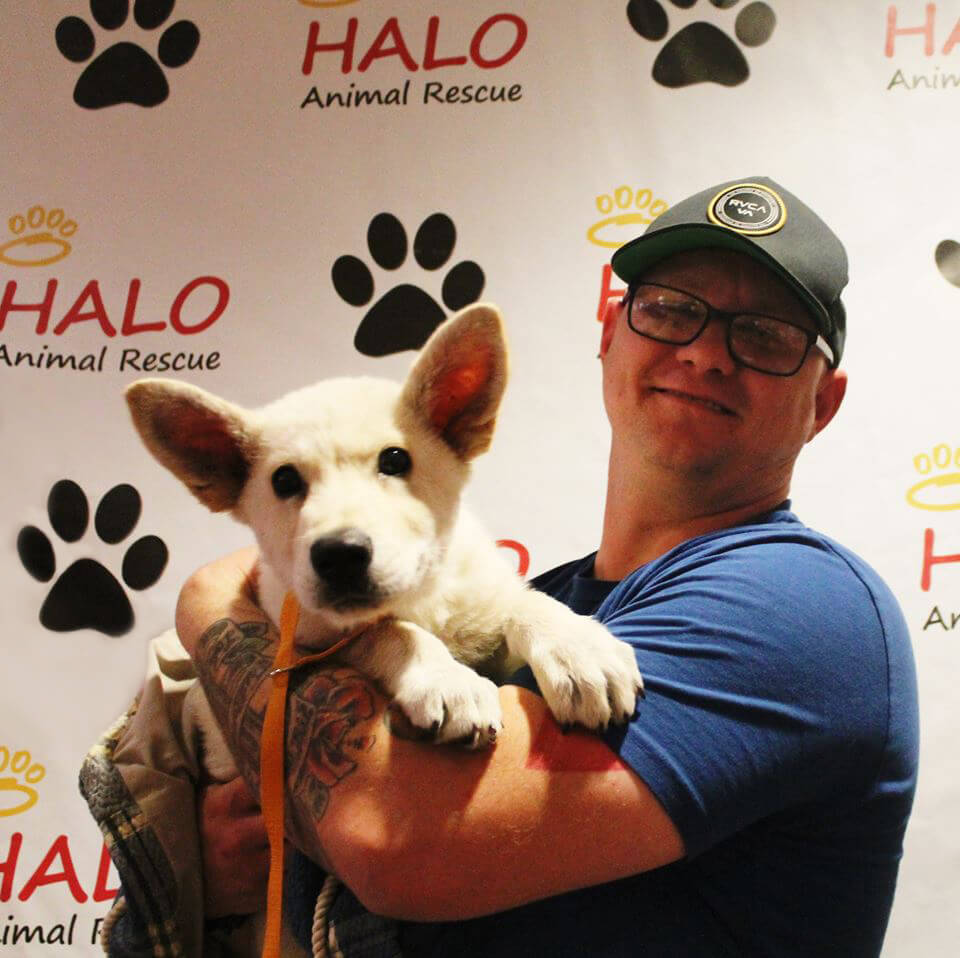 A step and repeat backdrop made for Halo Dog Rescue – Step and Repeat LA