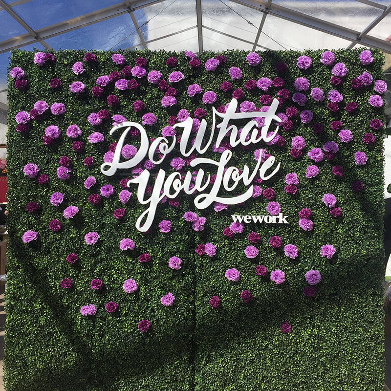 Pink Carpet  Step and Repeat LA