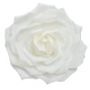 White Artificial Flower Hedge Wall Los Angeles