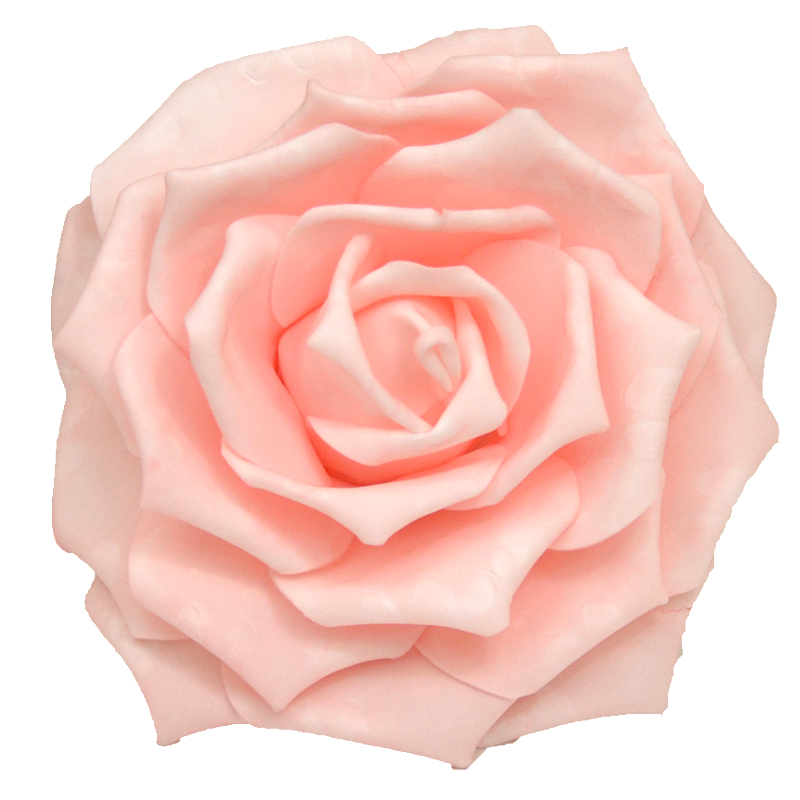 Light Pink Flower | ubicaciondepersonas.cdmx.gob.mx
