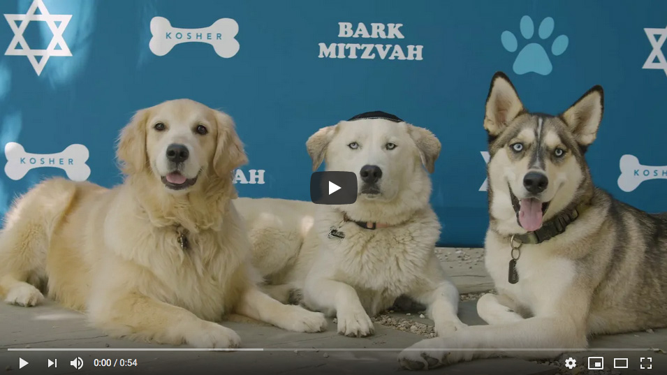 BarkMitzvah backdrop banner with dogs