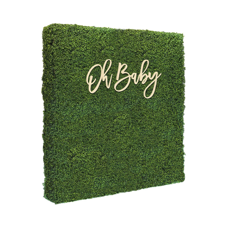 baby shower hedge wall rental